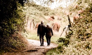 A couple go on a countryside walk together after they stop driving