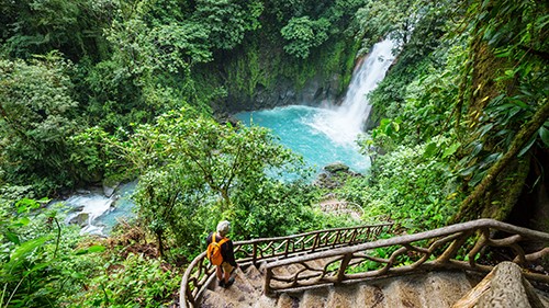 00193 - View of steps leading to jungle waterfall and pool in Costa Rica - 16_9.jpg